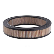 Ryco Air Filter - A142
