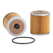 Ryco Oil Filter  R2108P