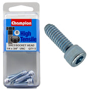 Champion Pack of 5 1/4