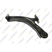 Teknorot Suspension Control Arm and Ball Joint Assembly - N-909