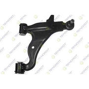 Teknorot Suspension Control Arm and Ball Joint Assembly - T-258 (Bulky Item - Freight Applies)