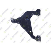 Teknorot Suspension Control Arm and Ball Joint Assembly - T-269 (Bulky Item - Freight Applies)